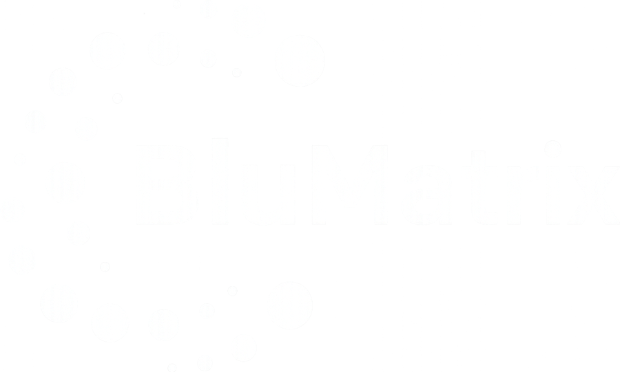 BluMatrix